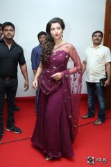 Bengal Tiger Movie Audio Launch